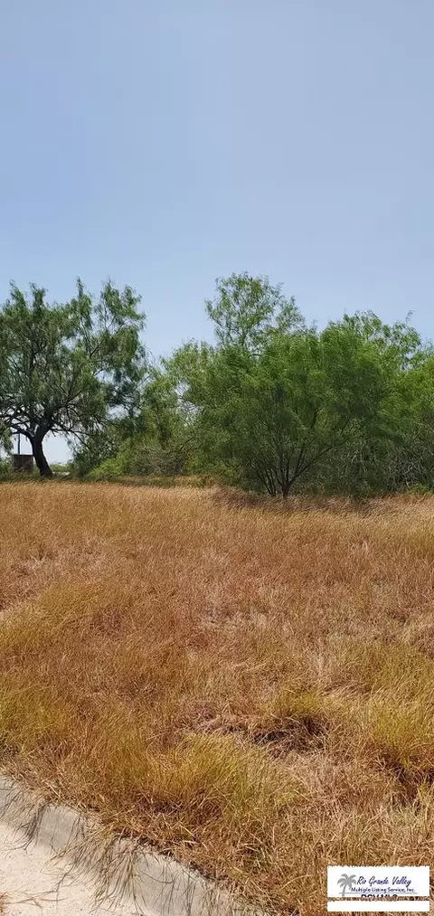 0 Circulo Paradise, San Benito, TX 78586