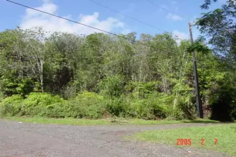 Thorne St, Mountain View, HI 96771