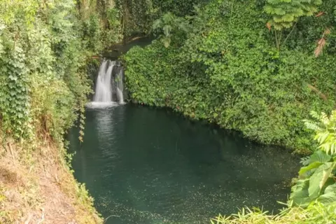 255 Kaiulani St, Hilo, HI 96720 photo 1
