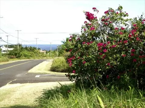 12-217 Mapuana Ave, Pahoa, HI 96778 photo 1