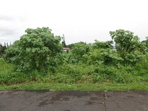 175 Kuleana Lp, Hilo, HI 96720 photo 1