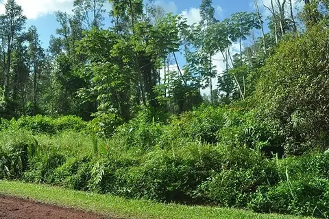 16-2134 Hibiscus Dr, Pahoa, HI 96778