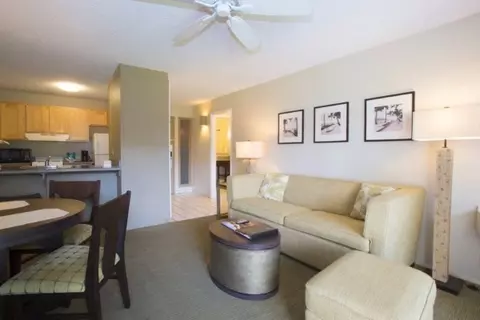525 Aleka Loop #D2, Kapaa, HI 96746 photo 1