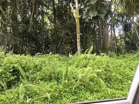 Oio St, Pahoa, HI 96778