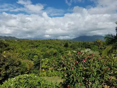 4849 Lani Rd #2, Kapaa, HI 96746 photo 1
