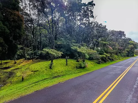 19-4090 Wright Rd, Volcano, HI 96785 photo 1