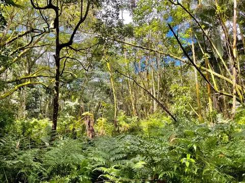 Puua - Keonepoko Iki, Pahoa, HI 96778