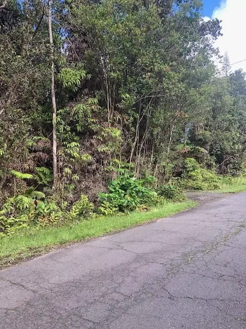 Alii Kane St, Volcano, HI 96785