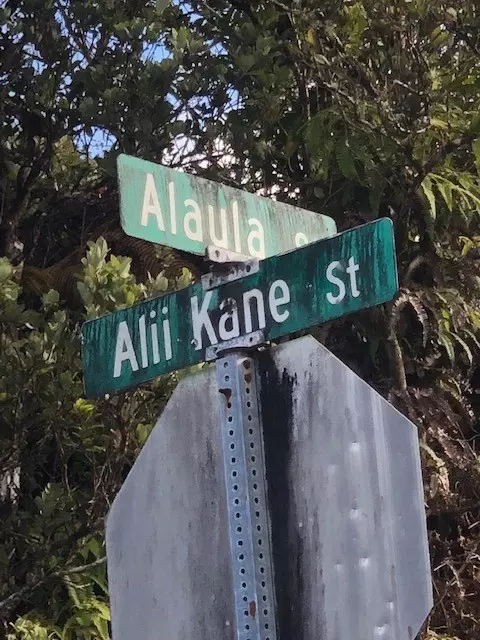 Alii Kane St, Volcano, HI 96785