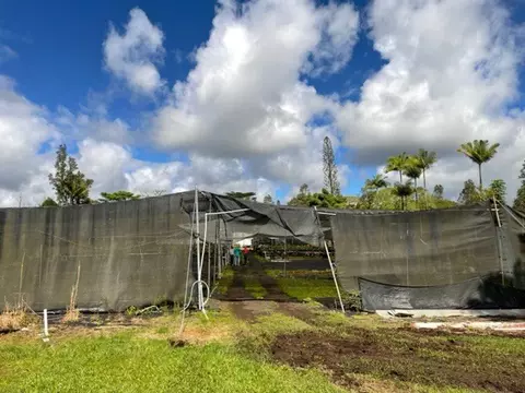 Undisclosed, Mountain View, HI 96771