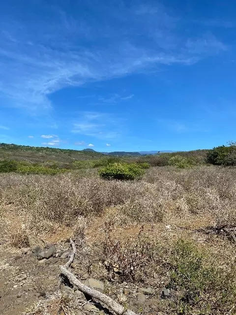 Undisclosed, Naalehu, HI 96772