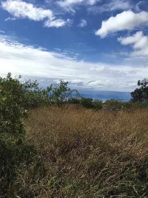 Undisclosed, Ocean View, HI 96737