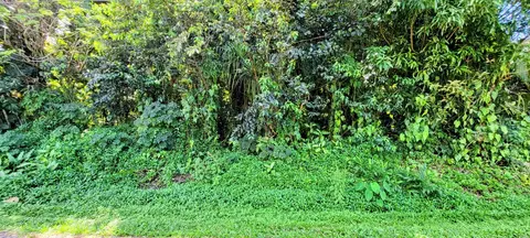 N Opae St, Pahoa, HI 96778