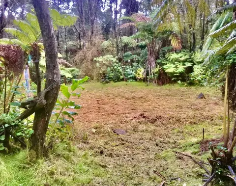11-3932 Ruby Ave, Volcano, HI 96785 photo 1