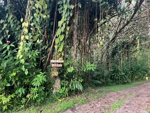 Undisclosed, Holualoa, HI 96725