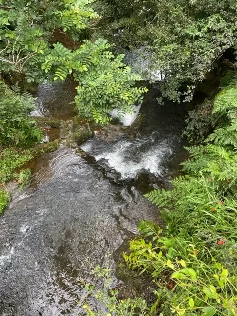 28-1416 281416, Pepeekeo, HI 96783