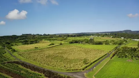 opua road LOT 11, Pepeekeo, HI 96783