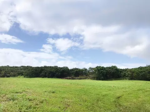 Opihikao Rd, Pahoa, HI 96778