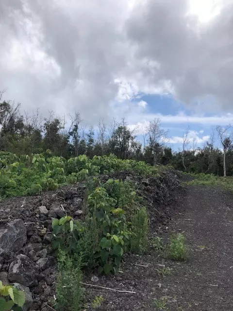 Hawaii Blvd., Ocean View, HI 96737