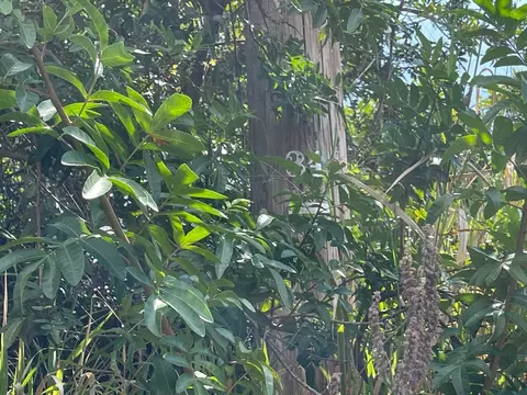 Undisclosed, Ocean View, HI 96737