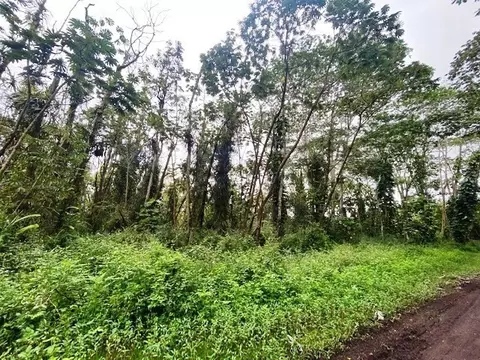 Oahu Rd, Pahoa, HI 96778