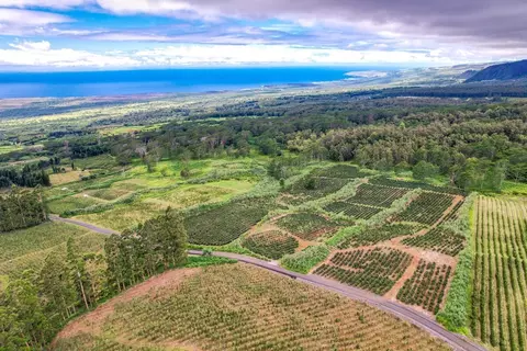 Lot 48 Moa'ula, Pahala, HI 96777