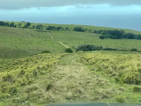 Mountain House Rd, Naalehu, HI 96772