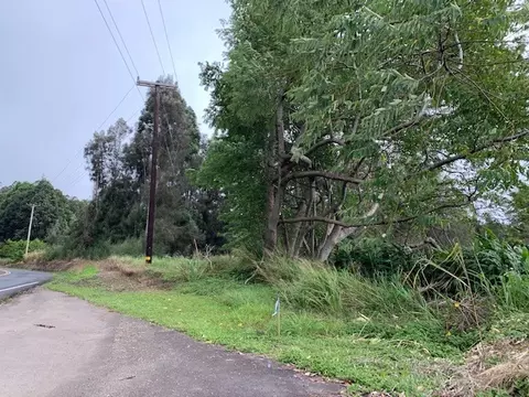 45-3490 Old Mamalahoa Hwy, Honokaa, HI 96727
