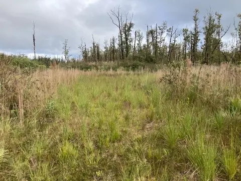 Ohialani Rd, Volcano, HI 96785