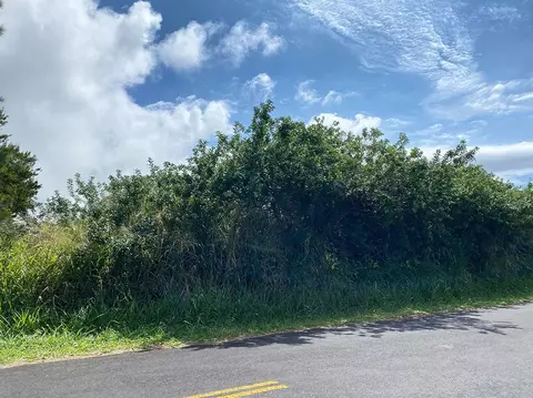 94-1674 Lewa Lani St, Naalehu, HI 96772