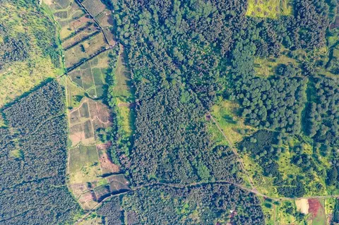 Lot 33 Moa'ula, Pahala, HI 96777