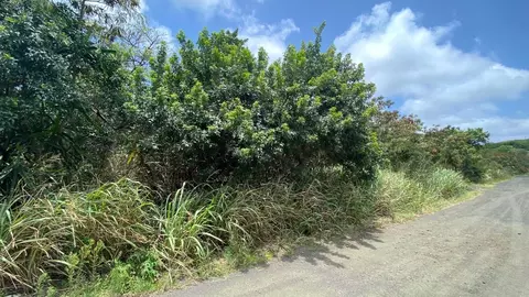 Puka St, Naalehu, HI 96772