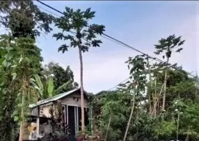 15-2713 N Opihi St, Pahoa, HI 96778