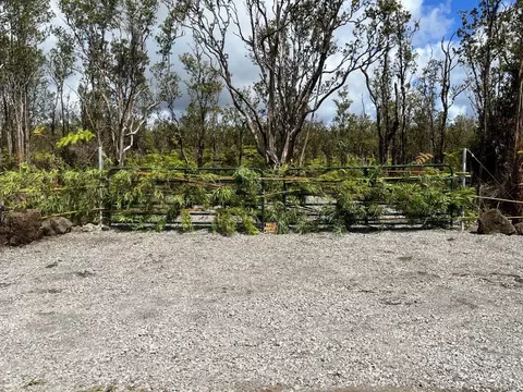 11-2545 Kaleponi Dr, Volcano, HI 96785 photo 5