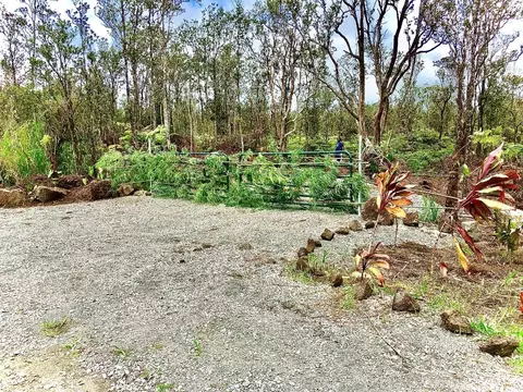11-2545 Kaleponi Dr, Volcano, HI 96785 photo 6
