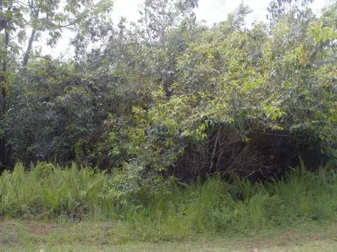 Ahia Rd, Pahoa, HI 96778