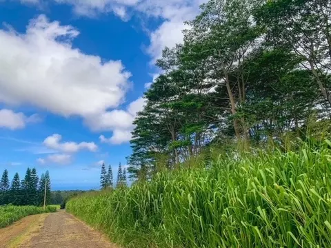 Undisclosed, Pahala, HI 96777