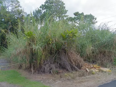 Iwaiwa Street, Hilo, HI 96720
