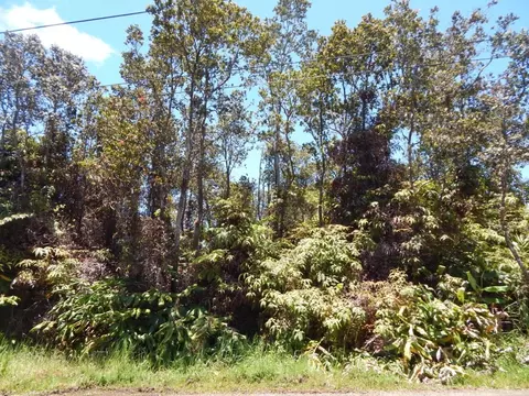Ala Ohia St, Volcano, HI 96785