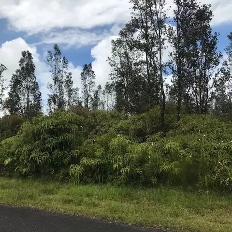 Hibiscus St, Mountain View, HI 96771