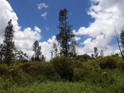 Hibiscus Dr, Pahoa, HI 96778