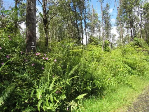 Oahu Rd, Pahoa, HI 96778