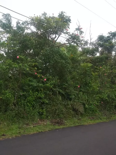 Oneloa St, Pahoa, HI 96778