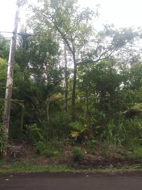 Oneloa St, Pahoa, HI 96778