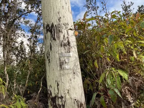 Kaleponi Dr, Volcano, HI 96785