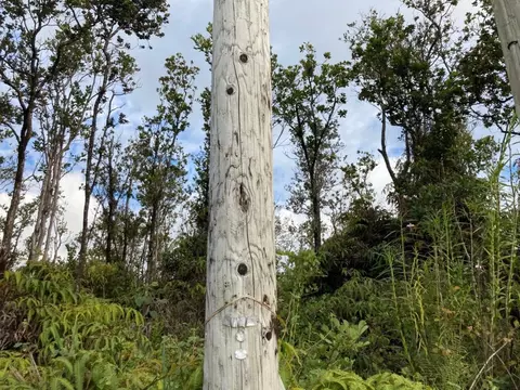 Ohialani Rd, Volcano, HI 96785