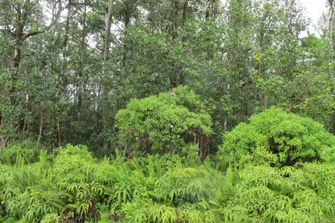 Leialoha Dr, Pahoa, HI 96778