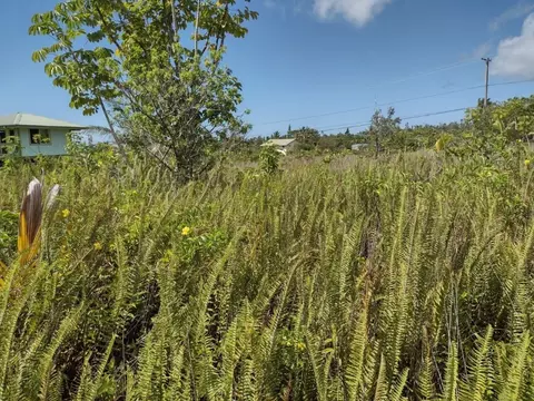 E Moanauli Lp, Pahoa, HI 96778