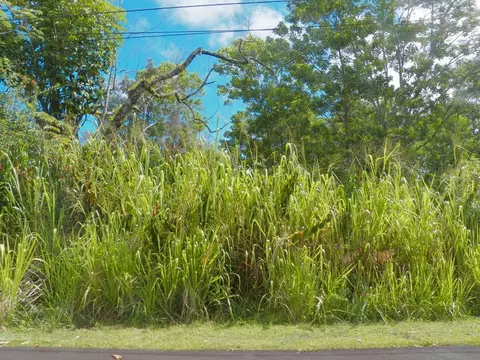 S Lai St, Pahoa, HI 96778
