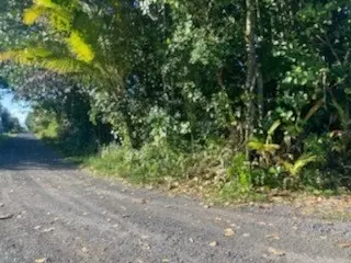 Amau Rd, Keaau, HI 96749